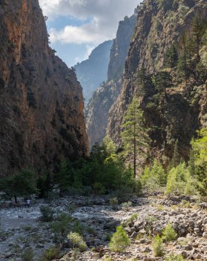 Klasik Samaria Gorge manzarasının bir resmi, yerde kayalar ve etrafındaki ağaçlar ve dağlarla.