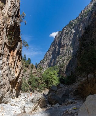 Klasik Samaria Gorge manzarasının bir resmi, yerde kayalar ve etrafındaki ağaçlar ve dağlarla.