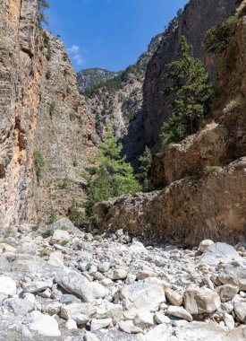 Klasik Samaria Gorge manzarasının bir resmi, yerde kayalar ve etrafındaki ağaçlar ve dağlarla.