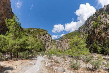 Klasik Samaria Gorge manzarasının bir resmi, yerde kayalar ve etrafındaki ağaçlar ve dağlarla.