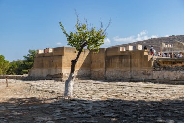 Knossos Sarayı 'ndaki bir ağacın resmi..