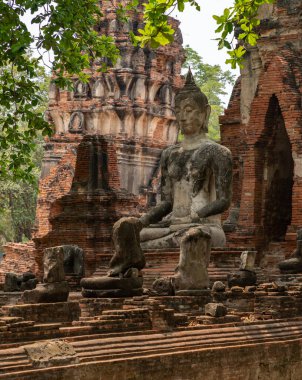 Wat Mahathat Tapınağı 'ndaki Buda heykelinin resmi..
