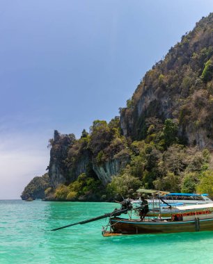 Maymun Körfezi 'ndeki Ko Phi Phi Don Adası' ndaki tekne turlarının resmi..