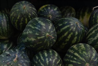 Fil Ormanı Sığınağı Phuket 'te filleri beslemek için kullanılan karpuz resmi..