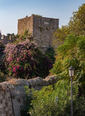 Özgürlük Kapısı 'nın bir resmi, Ortaçağ Rodos Şehir Duvarları' nın bir parçası, ve çevresindeki bitki örtüsü..