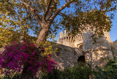 Cannon Kapısı 'nın bir resmi, Ortaçağ Rodos Şehir Duvarları' nın bir parçası, renkli çiçekler ve bitkilerin yanında..