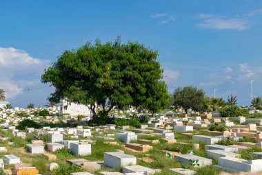 Manastır Mezarlığı 'nın resmi..