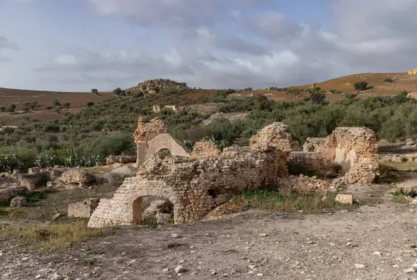 Dougga Arkeolojik Alanı 'ndaki harabelerin bir resmi..