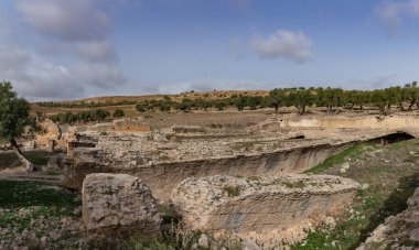 Dougga Arkeoloji Alanındaki Ain El Hamamının bir resmi.