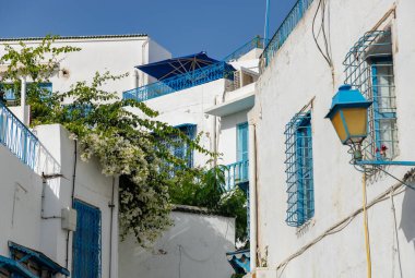 Sidi Bou Said, Tunus 'un mavi ve beyaz sokaklarının bir resmi..