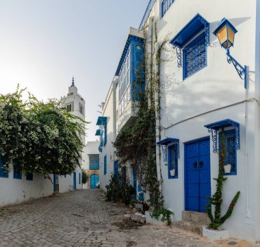 Sidi Bou Said, Tunus 'un mavi ve beyaz sokaklarının bir resmi..