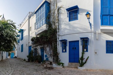Sidi Bou Said, Tunus 'un mavi ve beyaz sokaklarının bir resmi..