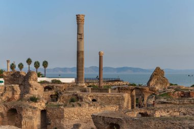 Kartaca arkeolojik sahasında Antoninus Hamamları 'nın bir resmi..
