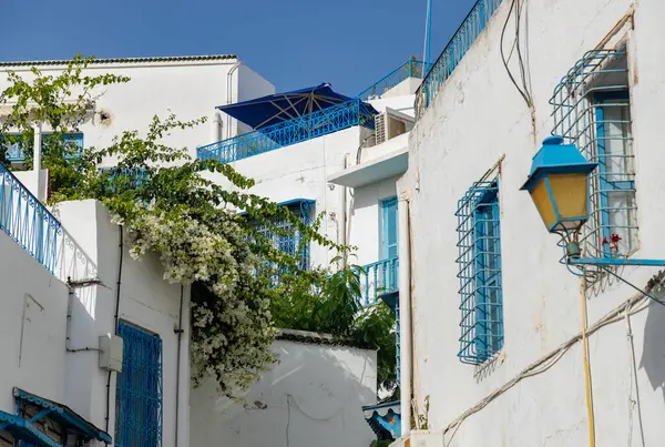 Sidi Bou Said, Tunus 'un mavi ve beyaz sokaklarının bir resmi..