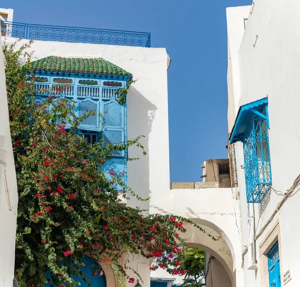 Sidi Bou Said, Tunus 'un mavi ve beyaz cephelerinin bir resmi..