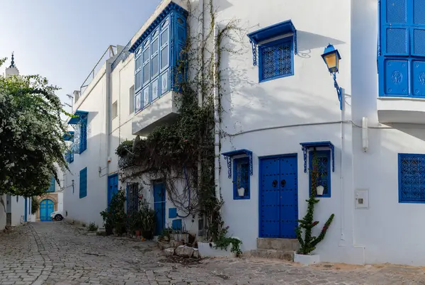 Sidi Bou Said, Tunus 'un mavi ve beyaz sokaklarının bir resmi..
