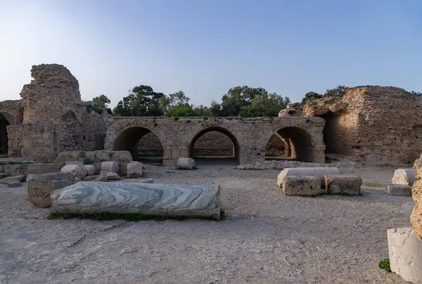Kartaca arkeolojik sahasında Antoninus Hamamları 'nın bir resmi..