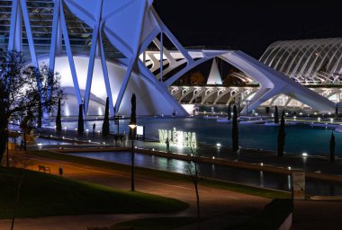 Valencia 'daki sanat ve bilim şehrinin bir resmi..