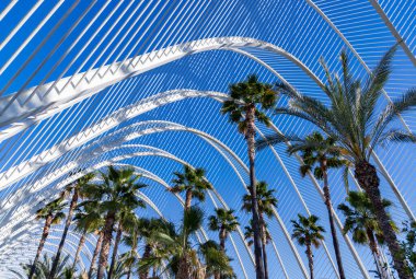 Valencia 'daki Sanat ve Bilim Şehri' nin bir parçası olan L 'Umbracle' ın bir resmi..