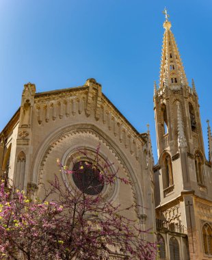 Valencia 'daki Saint Vicente Ferrer Bazilikası' nın bir resmi..