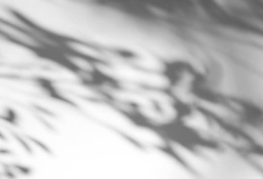 Ürün sunumu, arkaplan ve maketi, yaz mevsimi konseptini kaplamak için, beyaz doku arka planında doğal gölge bırakır