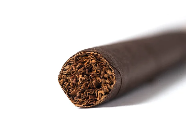 Closeup Cigar White Background — Stock Photo, Image