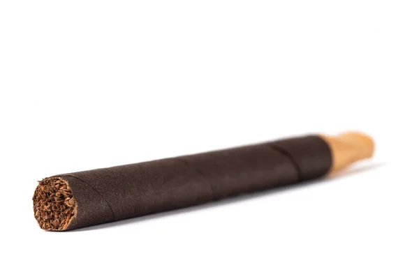 Nahaufnahme Zigarre Auf Weißem Hintergrund — Stockfoto