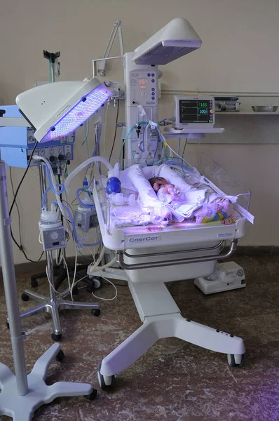 Yeni Doğmuş Bebeklerle Dolu Bir Hastane Odasında — Stok fotoğraf