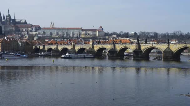 Vacker Utsikt Över Floden Prag — Stockvideo