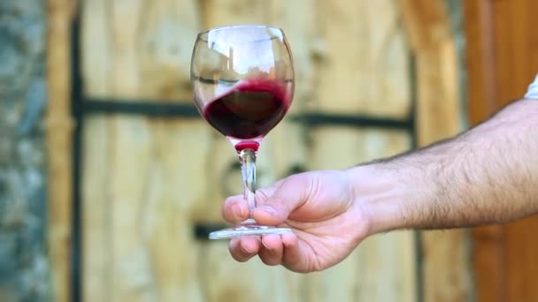 Man Shakes Glass Red Wine — Stock videók