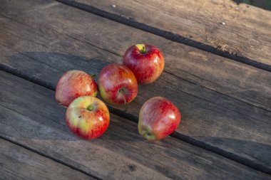 Tahta arka planda olgun kırmızı elmalar .