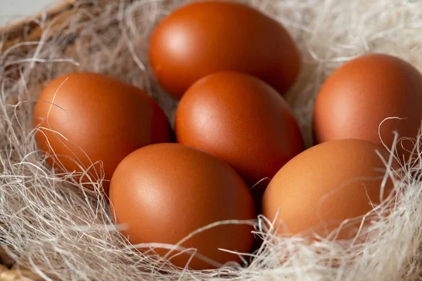 Hasır bir sepette samanla kahverengi tavuk yumurtası