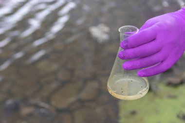 Nehirden bir su örneği. Eldiven takıp test tüpünde su topluyor. ekoloji kavramı