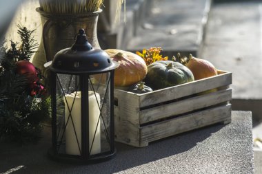 Renkli balkabakları, Cadılar Bayramı konsepti