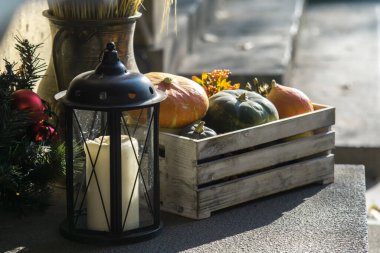 Renkli balkabakları, Cadılar Bayramı konsepti