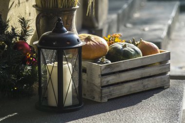 Renkli balkabakları, Cadılar Bayramı konsepti