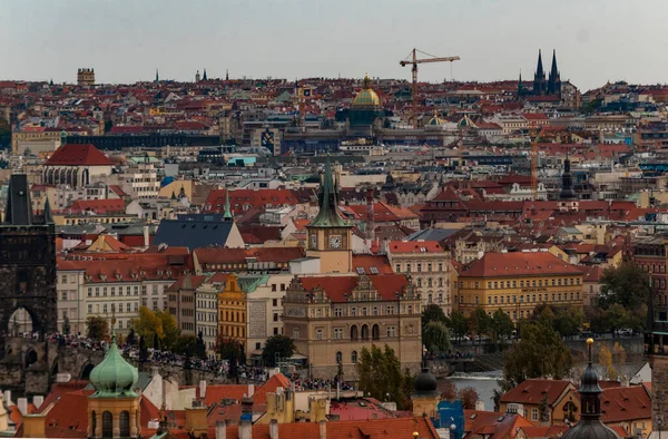 Cityscape Prague Червоними Дахами Чеська Республіка Європа Прекрасний Вид — стокове фото