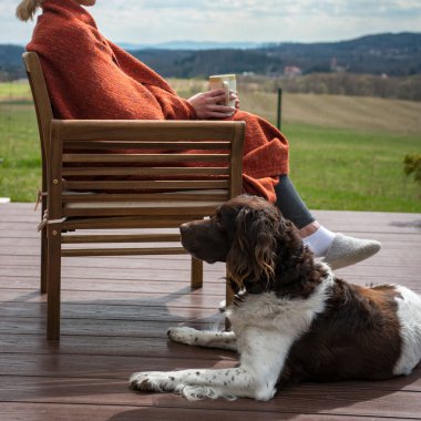 Onun sahibi yanında açık üzerinde oturan setter köpek