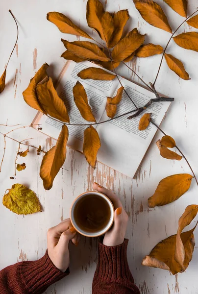 Female Hands Sweater Cup Tea Book White Background Leaves Autumn — Stock Photo, Image