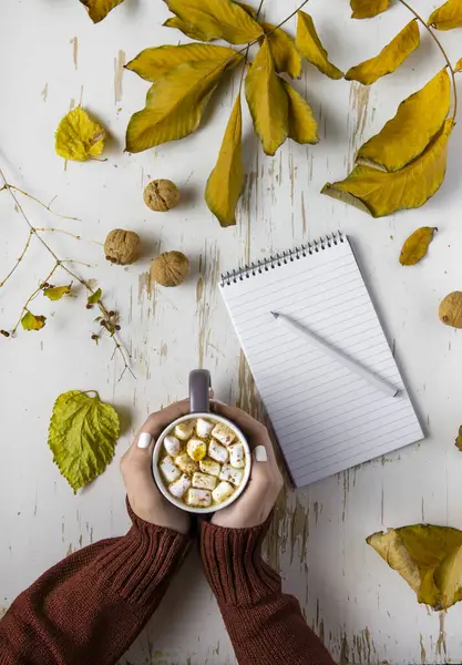 stock image Top view of female hands holding cup of cocoa with marshmallow on shabby table with yellow scattered leaves, walnuts and notepad with pen, autumn composition