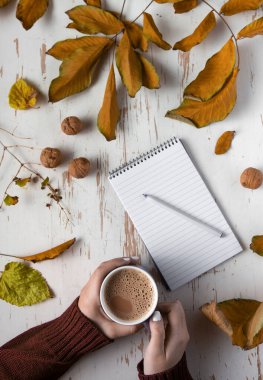 Sarı yapraklı, cevizli ve kalemli eski püskü kahve bardağını tutan kadın ellerinin üst görüntüsü.