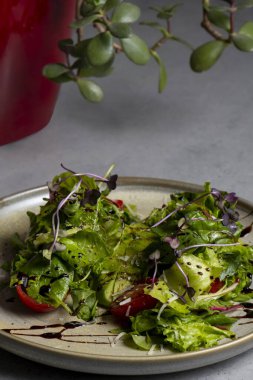 Fresh green salad with cherry tomatoes, arugula and olive oil