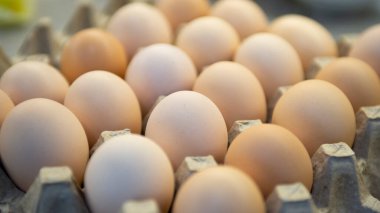 Karton bir kutuda taze yumurtalar. Yakın plan. Seçici odak.