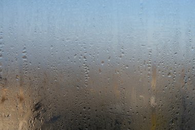 Water drops on the window, natural background, closeup of photo clipart