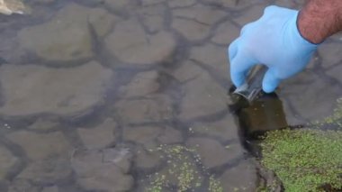 Nehirden bir su örneği. Eldiven takıp test tüpünde su topluyor. ekoloji kavramı