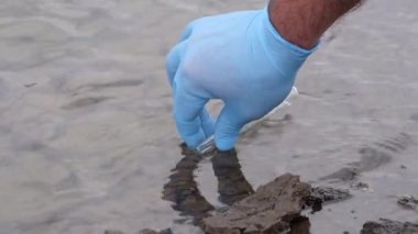 Nehirden bir su örneği. Eldiven takıp test tüpünde su topluyor. ekoloji kavramı