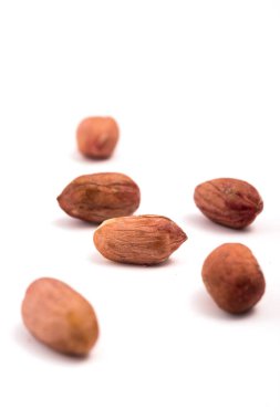 Beyaz arka planda yer fıstığı. Makro. Yakın plan. seçici odak