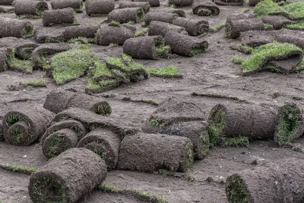 stock image Rolls of turf in the field, closeup of photo.