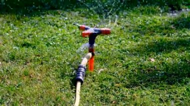 Yeşil çimen arka planında otomatik sulama kutusu olan su hortumu. Bahçedeki su bidonu .