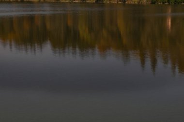 Gölü ve sonbahar ağaçları olan güzel bir manzara.